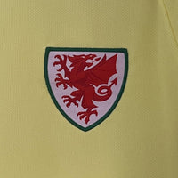 Wales Auswärtstrikot 2024