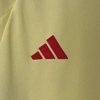 Wales Auswärtstrikot 2024