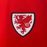 Wales Heimtrikot 2024
