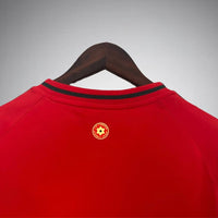 Wales Heimtrikot 2024