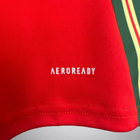 Wales Heimtrikot 2024