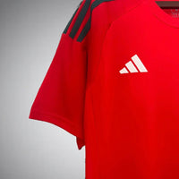 Wales Heimtrikot 2024