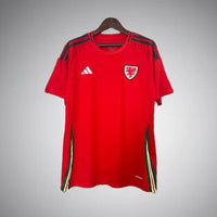 Wales Heimtrikot 2024
